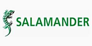 Salamander